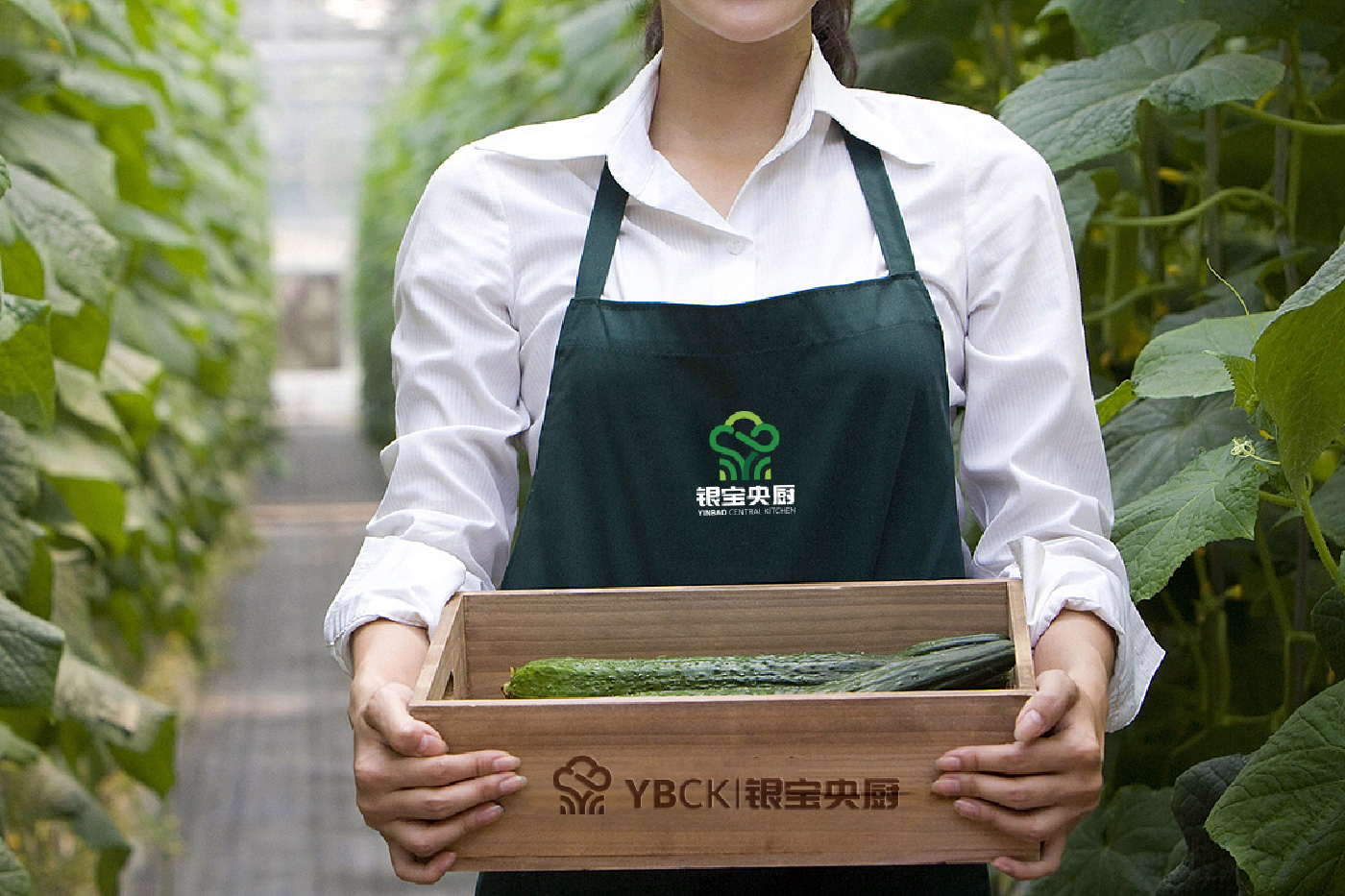 银宝央厨品牌设计-清尚艺美